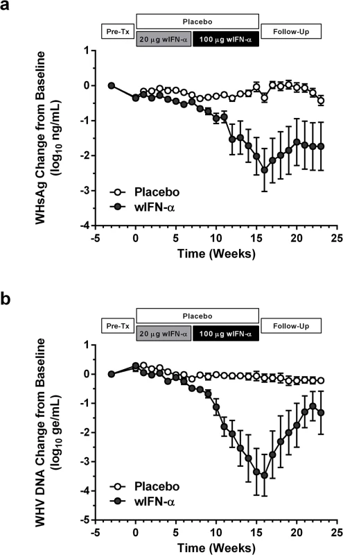 wIFN-α treatment of chronic WHV carriers induces suppression of serum antigenemia and viremia.