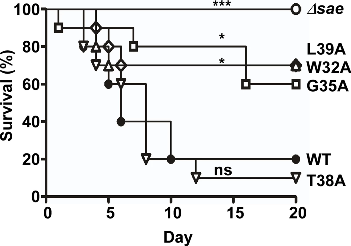 The linker peptide mutants exhibiting lower kinase activity show attenuated virulence in a murine model of infection.