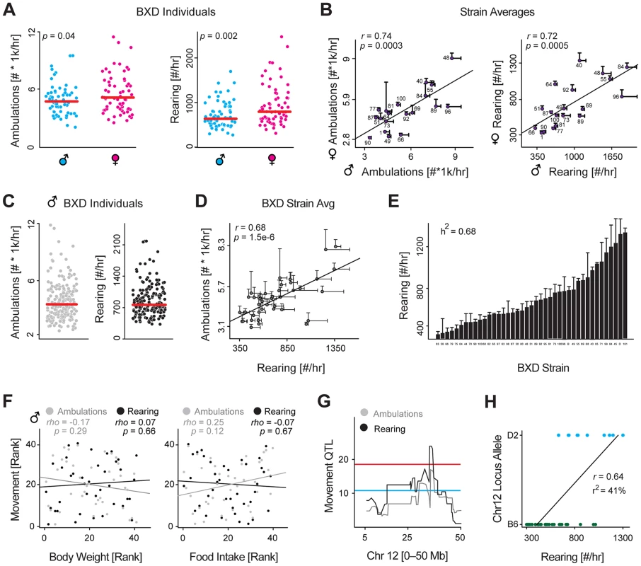Identification and validation of a movement QTL.