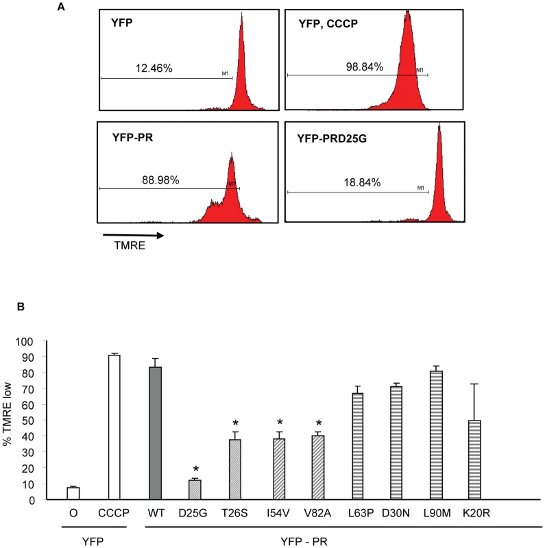 Discordance Associated Mutations (DAMs) within HIV-1PR alters the loss of mitochondrial transmembrane potential.