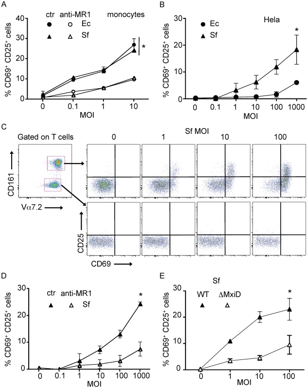 Epithelial cells infected by invasive <i>Shigella flexneri</i> activate MAIT cells.
