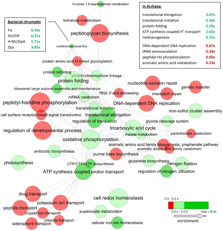 Gene ontology categories enriched with, or depleted of, OCU genes in Bacteria.