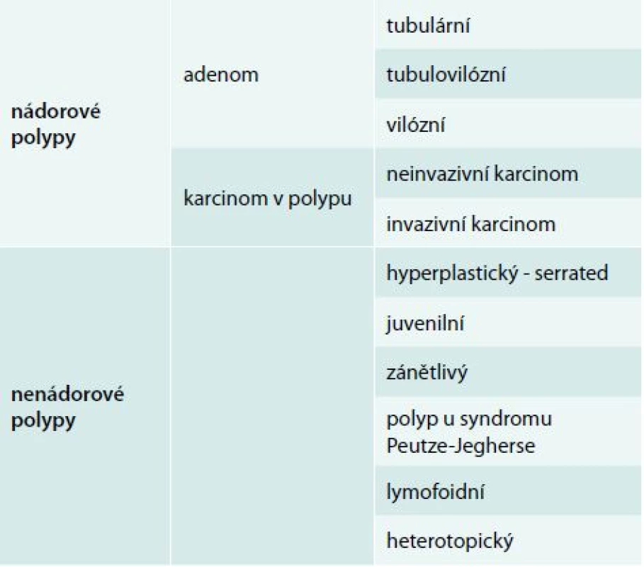 Základní histologické rozdělení slizničních neoplazií
