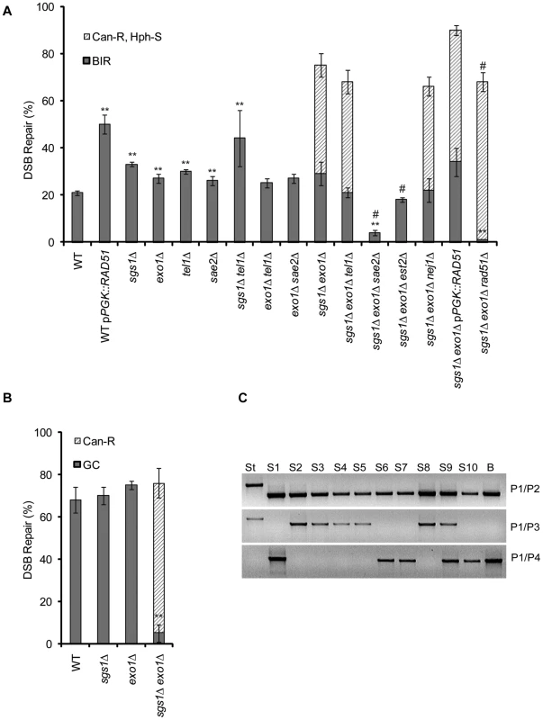 The effect of <i>sgs1</i>Δ <i>exo1</i>Δ on the viability and repair product in BIR and GC.