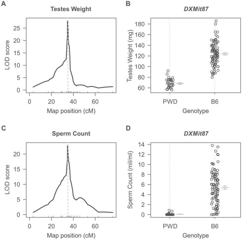 Single QTL mapping of <i>Hstx2</i> on Chr X.