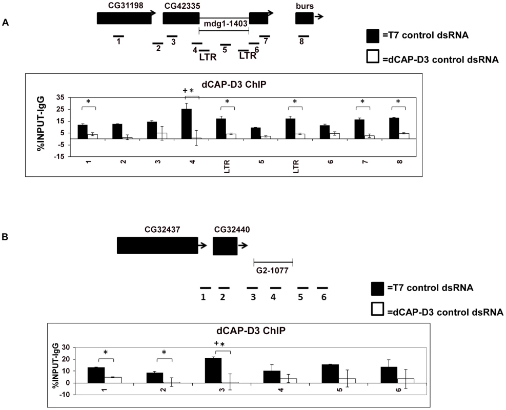 dCAP-D3 binds to loci containing retrotransposons.