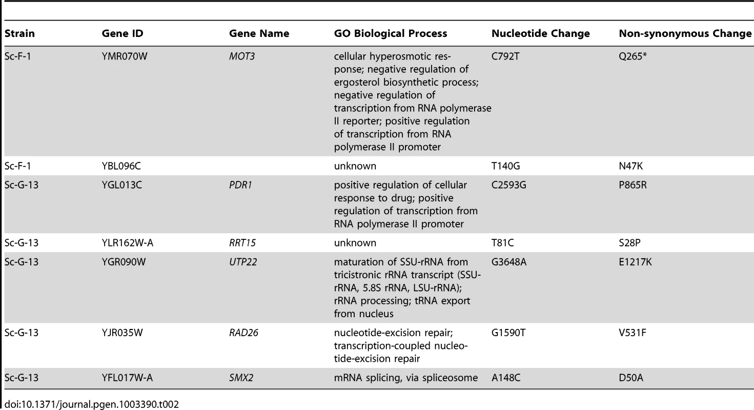Non-synonymous <i>S. cerevisiae</i> single nucleotide variants.