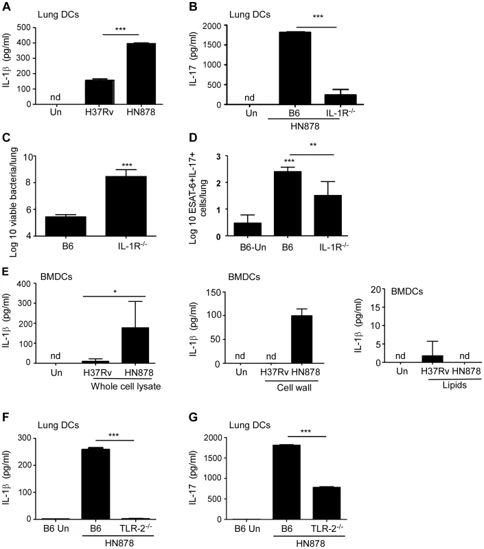 <i>Mtb</i> HN878-driven IL-17 production is dependent on TLR-2 and IL-1β.