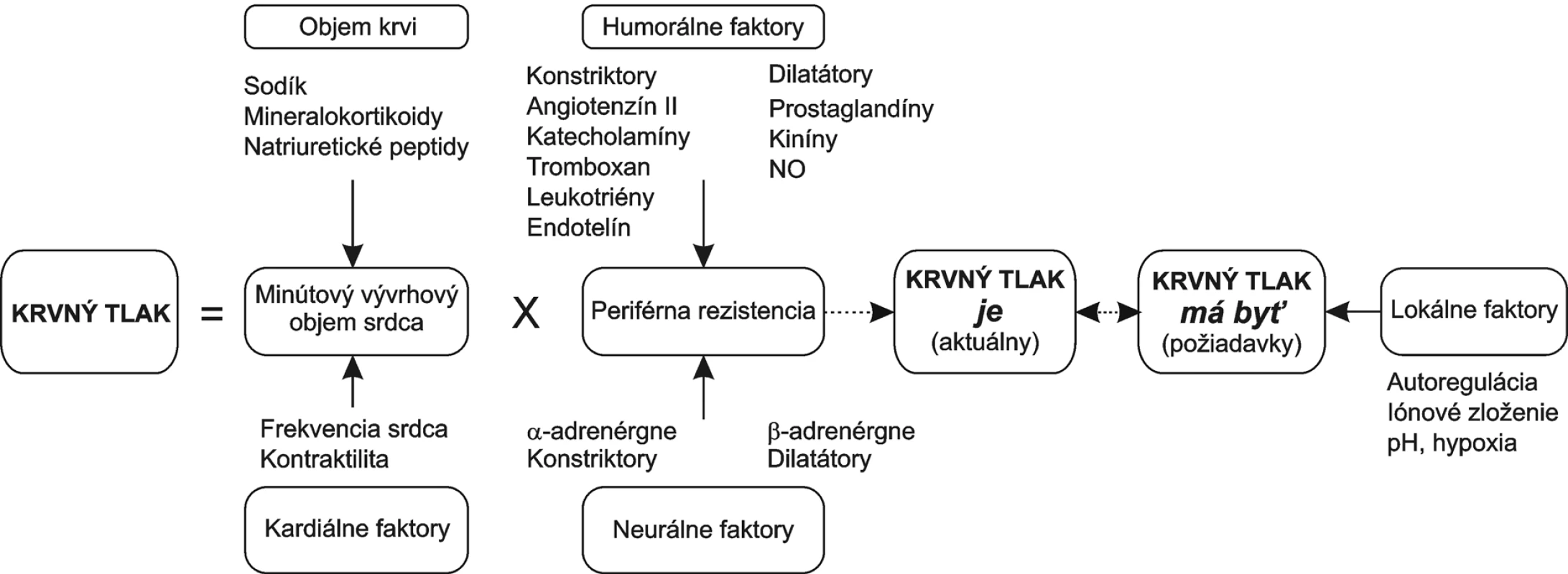 Regulácia krvného tlaku