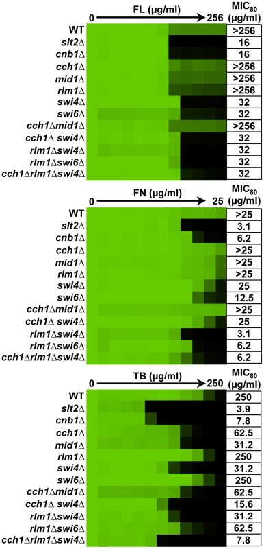 Distinct downstream effectors are important for tolerance of <i>S. cerevisiae</i> to different ergosterol biosynthesis inhibitors.