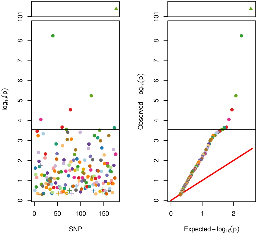 SNP and Genetic Score Effects for Adult Height.