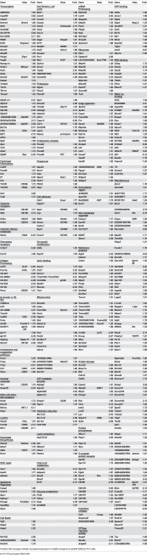 Functional annotation of genes significantly different between CD62Lhi <i>early</i>M and <i>late</i>M P14 cells at fold >1.5.