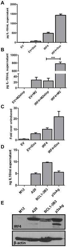 IRF4 expression in B cells leads to IL-10 secretion and M2 synergizes with IRF4 to enhance IL-10 levels.