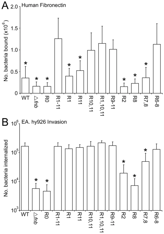 Composition of the Fn-binding repeat region significantly affects adhesion and internalization of <i>S. aureus</i> 8325.4.