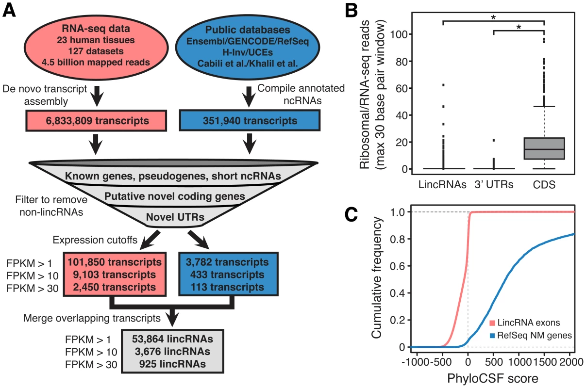 Discovery of lincRNAs.
