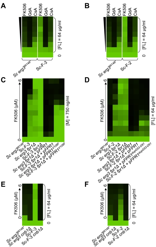 Mutations in <i>FPR1</i> confer resistance to azole and FK506 in two <i>S. cerevisiae</i> lineages.