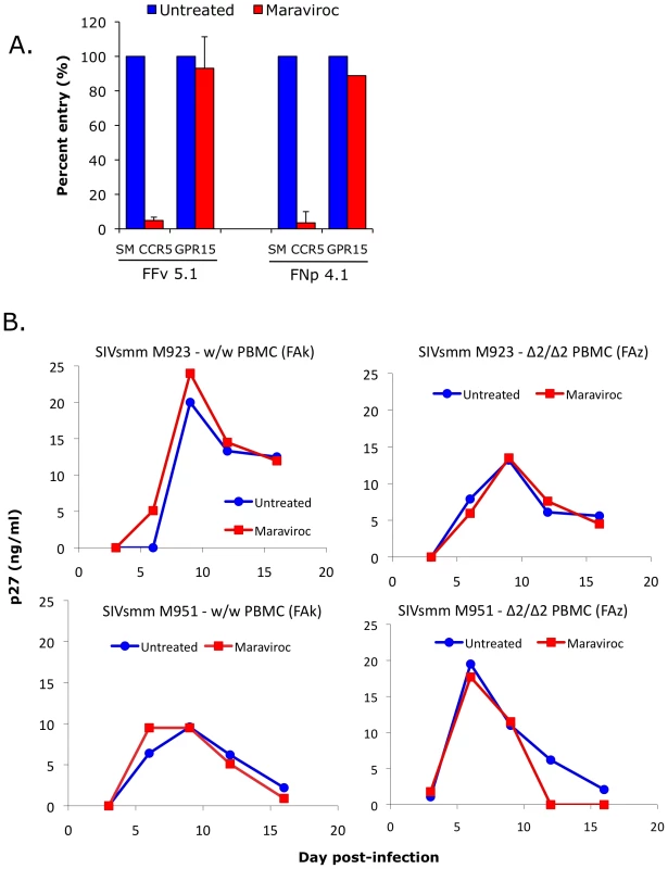 Effect of CCR5 blocking on SIVsmm use of CCR5 and entry into primary SM PBMC.