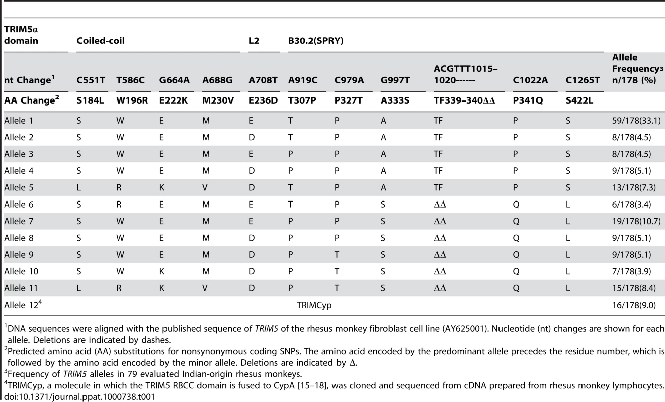 <i>TRIM5</i> alleles and their frequencies in Indian-origin rhesus monkeys.