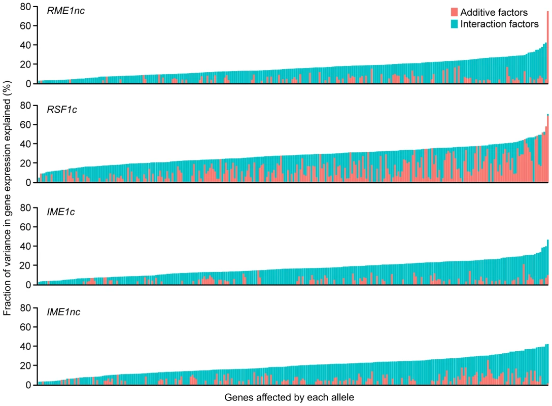 Fraction (%) of gene expression variance explained by main <i>(pink)</i> and interaction effects <i>(cyan)</i> of each of the four sporulation QTN.
