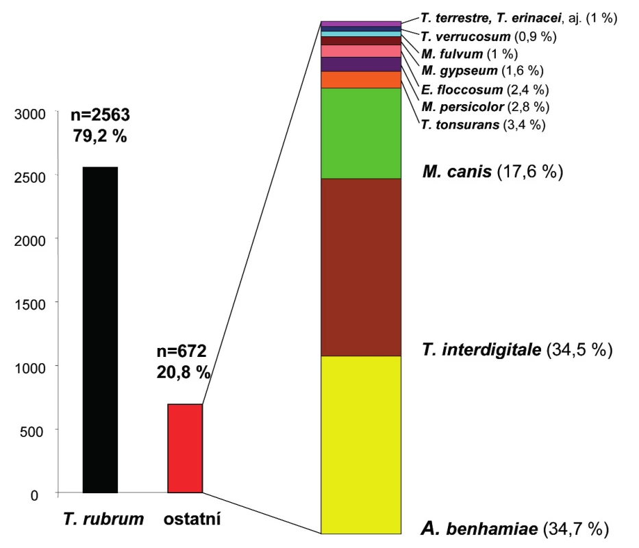 Druhová identifikace a relativní procentuální zastoupení non-<i>T. rubrum</i> dermatofytů (n = 672)