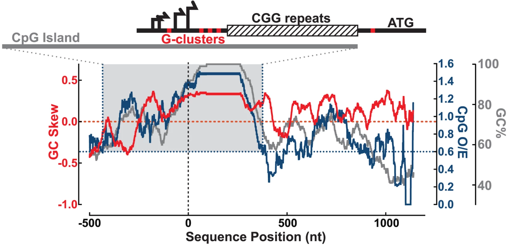 Sequence analysis of the <i>FMR1</i> promoter reveals signatures of R-loop formation.