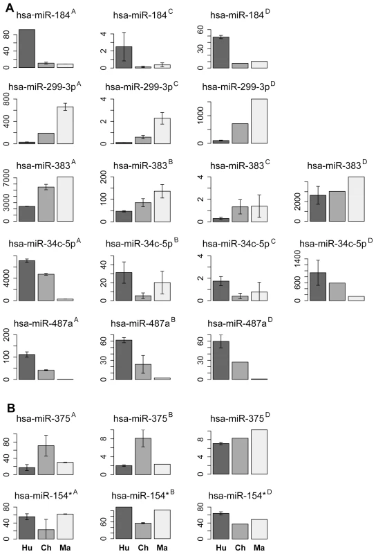 miRNA with species-specific expression in prefrontal cortex.
