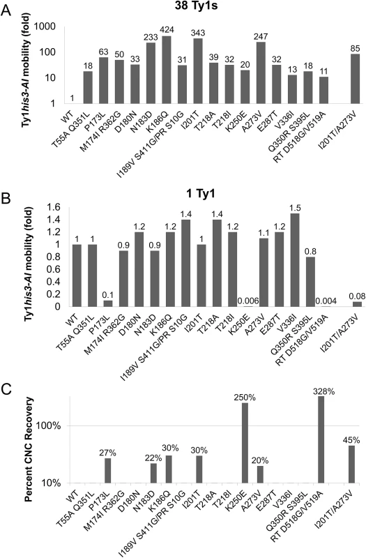 Ty1 <i>GAG</i> mutations are specific and partially resistant to CNC.