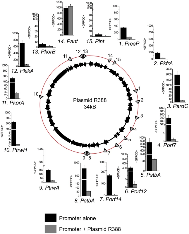 Promoters in plasmid R388.