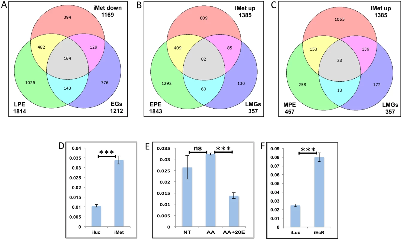 Genes cyclically regulated by JH through Met—the effects of AAs, 20E, EcR and Met on genes cyclically repressed by Met.