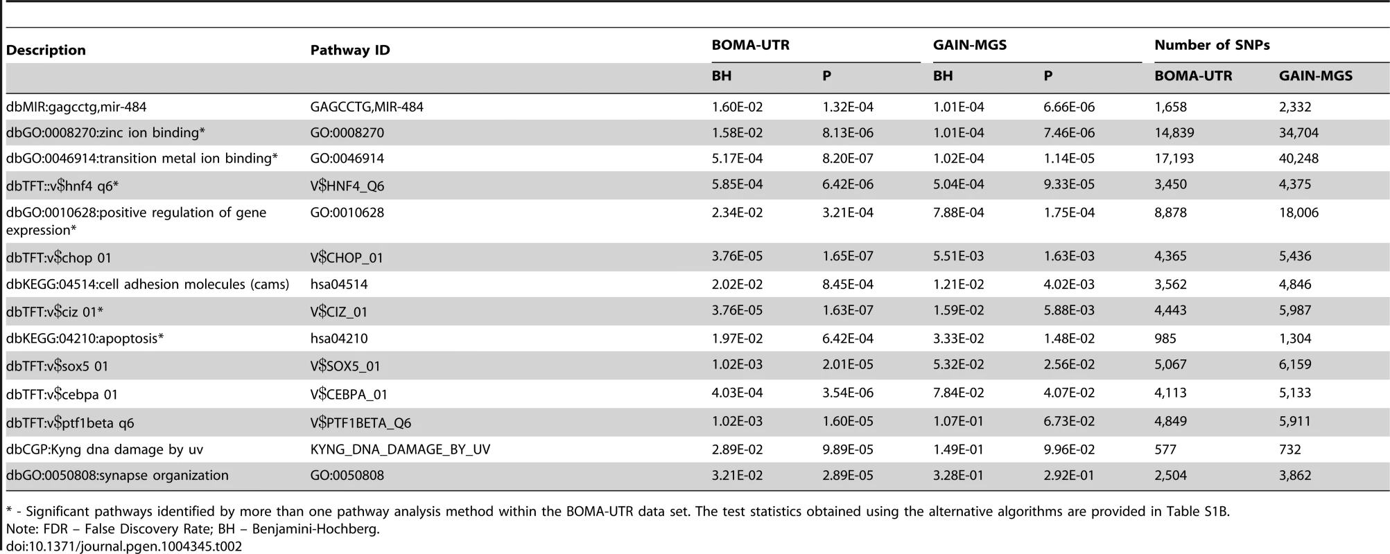 Comparisons of FDRs (BH) and p-values (P) for the BOMA-UTR and the GAIN-MGS data sets for the replicated pathways.