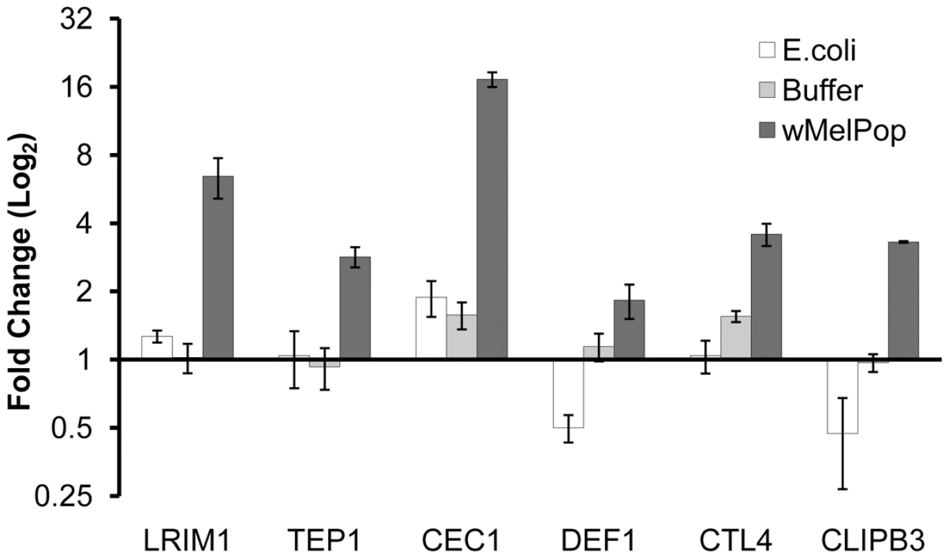 Immune gene expression in <i>An. gambiae</i> somatically infected with <i>w</i>MelPop.