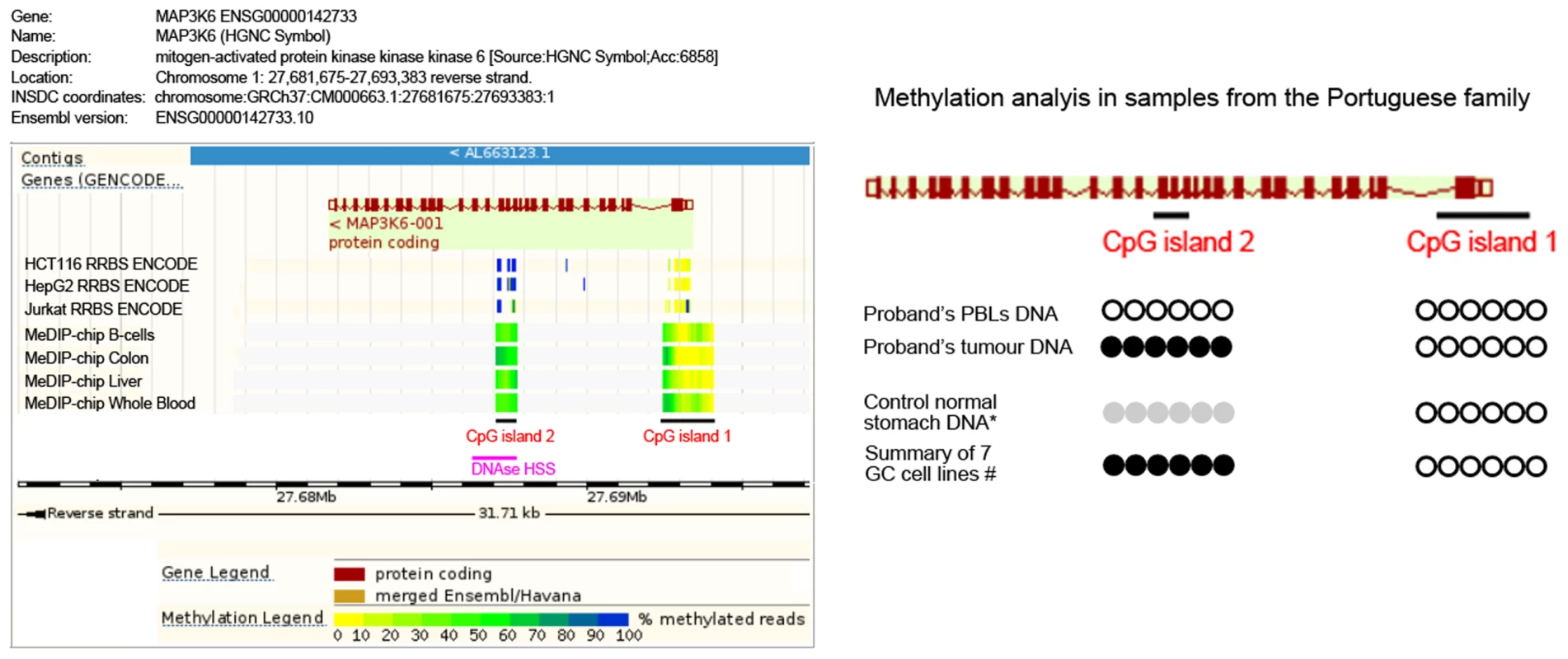 Methylation analysis of the Portuguese family.