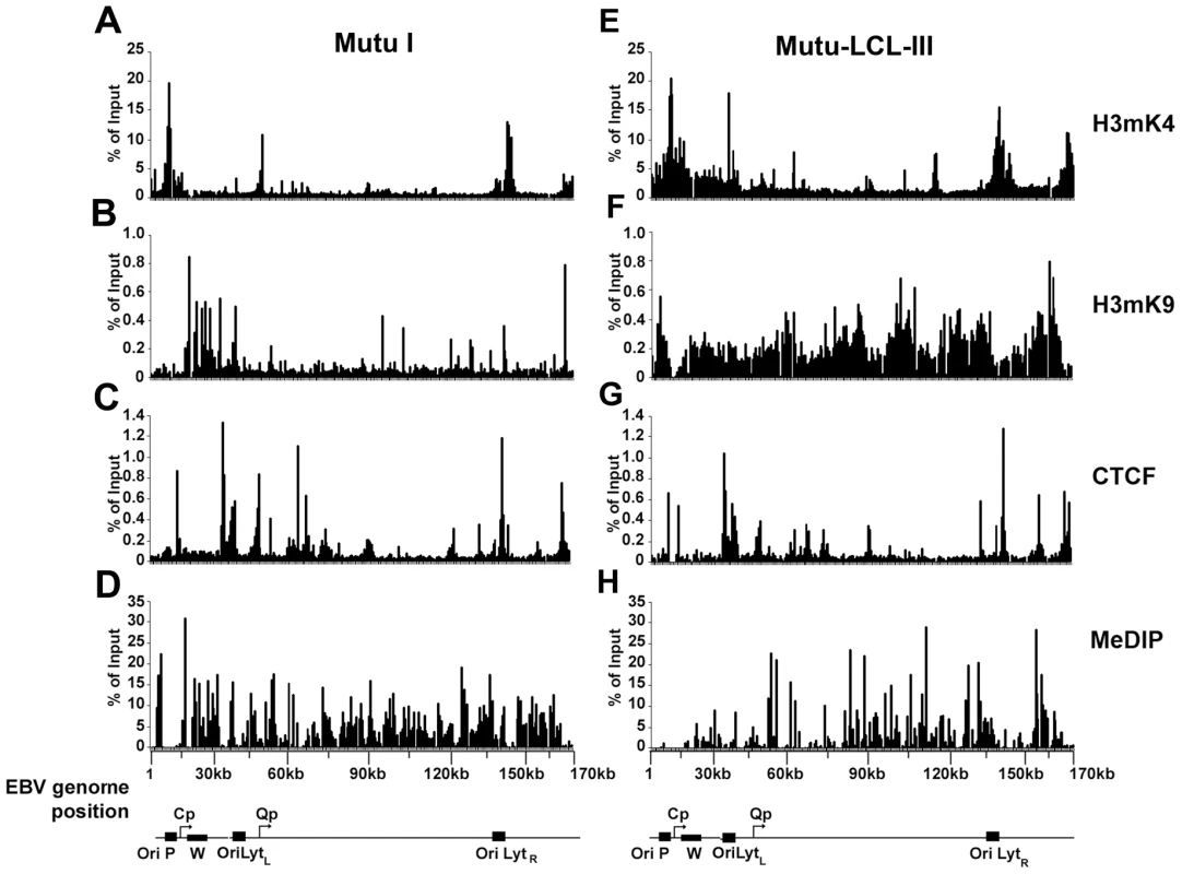 EBV genome-wide analysis of histone and DNA methylation patterns in different latency types.