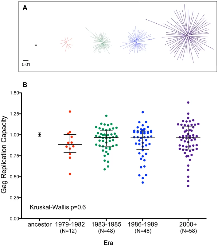 Replicative implications of Gag diversification during the North American Epidemic.