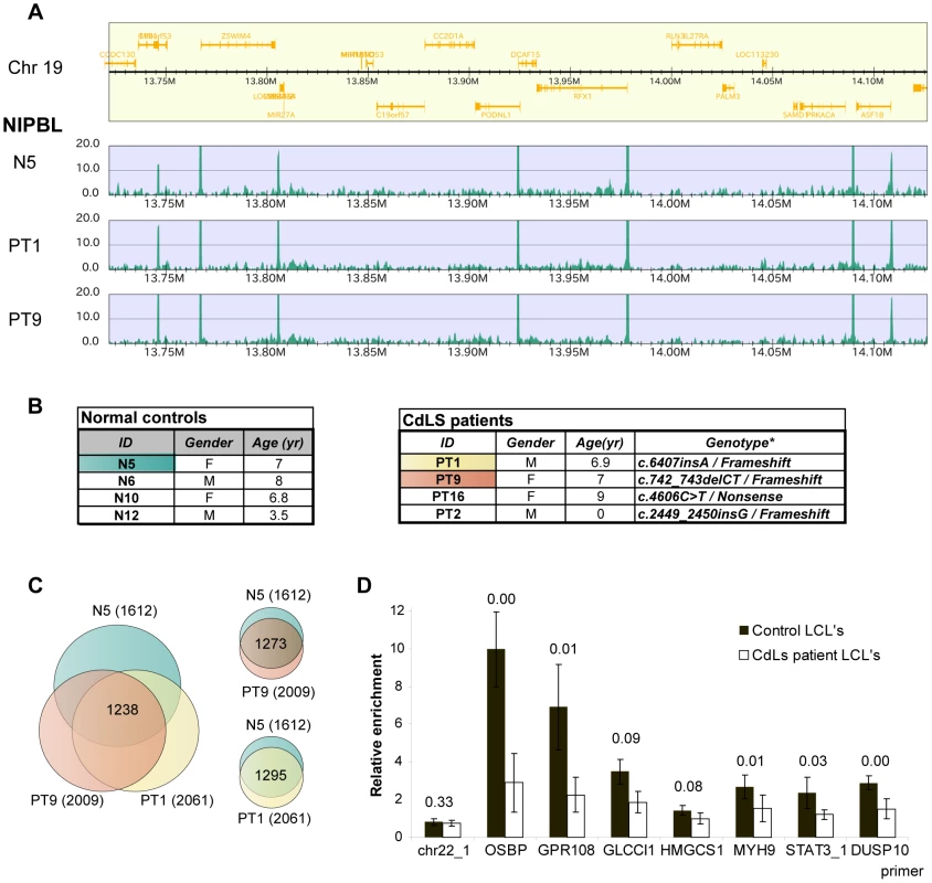 Position of NIPBL sites is conserved but the occupancy is reduced in CdLS.