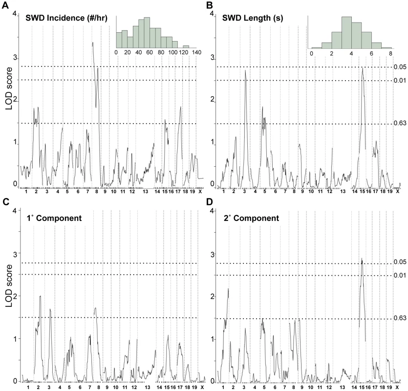 Genome scans for SWD traits in <i>Gria4</i> deficient backcross mice.