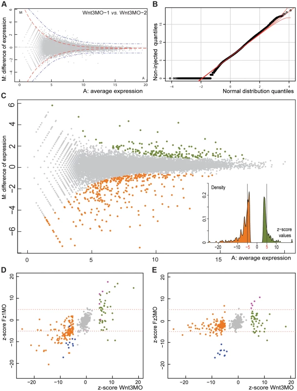 Identifying Clytia early gastrula patterning genes by DGE.