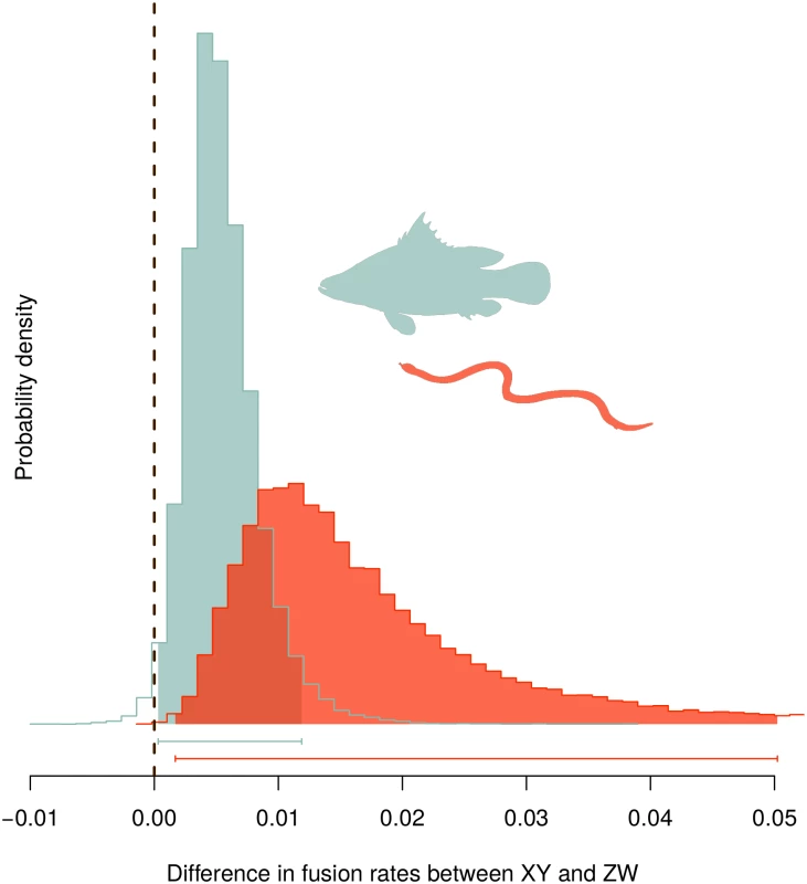 Posterior probability density of the difference in fixation rates of fusions between autosomes and sex chromosomes (rates in XY species minus in ZW species).