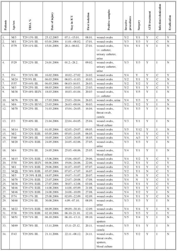 ICU patients with positive isolations of Acinetobacter complex strains from biological material in 2006