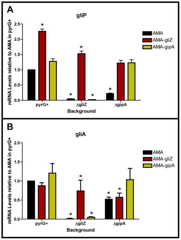 GliZ and GipA are dependent on each other for <i>gliA</i> induction.