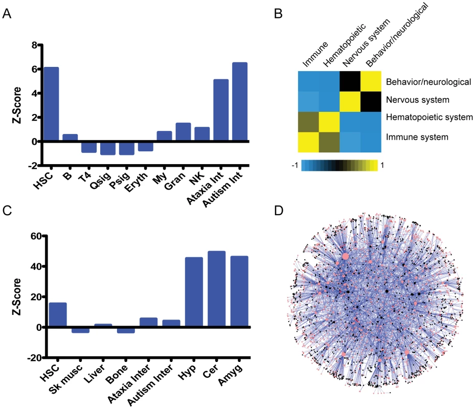 An unexpected relationship between the hematopoietic and nervous systems.