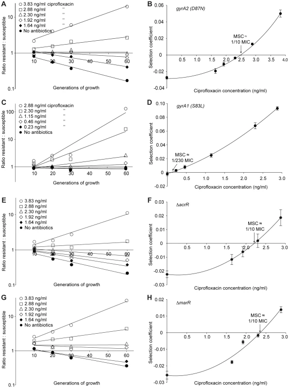 Competition experiments between susceptible and resistant strains, ciprofloxacin.