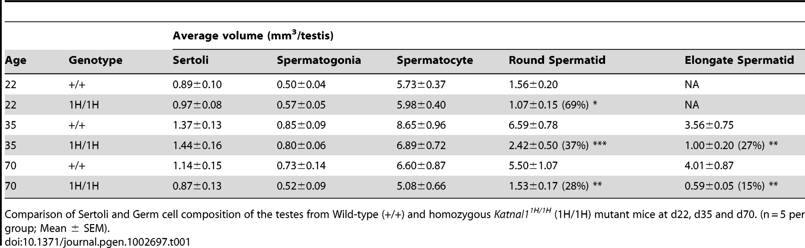 Sertoli Cell and Germ Cell composition of the testes.
