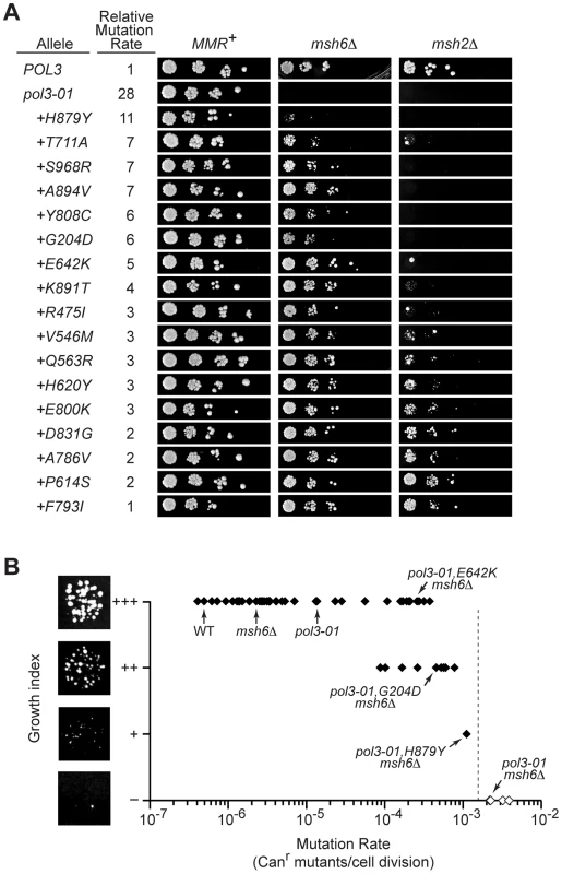 Defining the threshold of error-induced extinction.