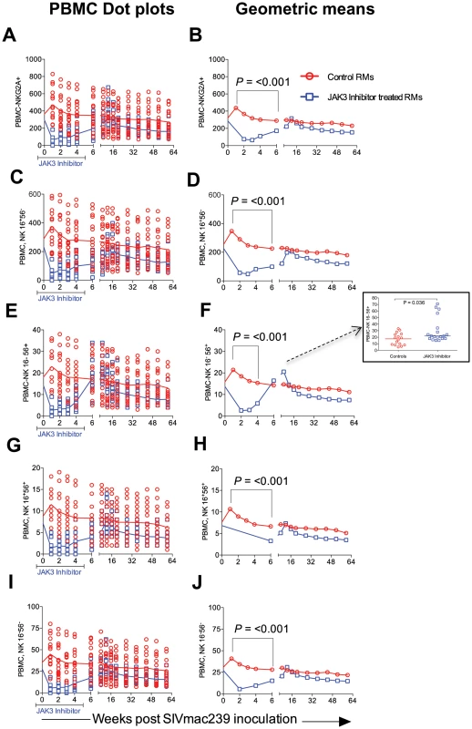 The absolute numbers of NK cells and its subsets within the PBMC of the 2 group of animals is illustrated as dot plots with means (A, C, E, G &amp; I) and Geometric means (B, D, F, H &amp; J) of total CD3<sup>−</sup>, CD8α<sup>−</sup>, NKG2a<sup>+</sup> NK cells (A, B) and the CD16<sup>+</sup>, CD56<sup>−</sup> cytolytic subset (C, D), the cytokine sythesizing subset CD16<sup>−</sup>, CD56<sup>+</sup> (E, F), the CD16<sup>+</sup>, CD56<sup>+</sup> (G, H) and the CD16<sup>−</sup>, CD56<sup>−</sup> (I, J) subset.