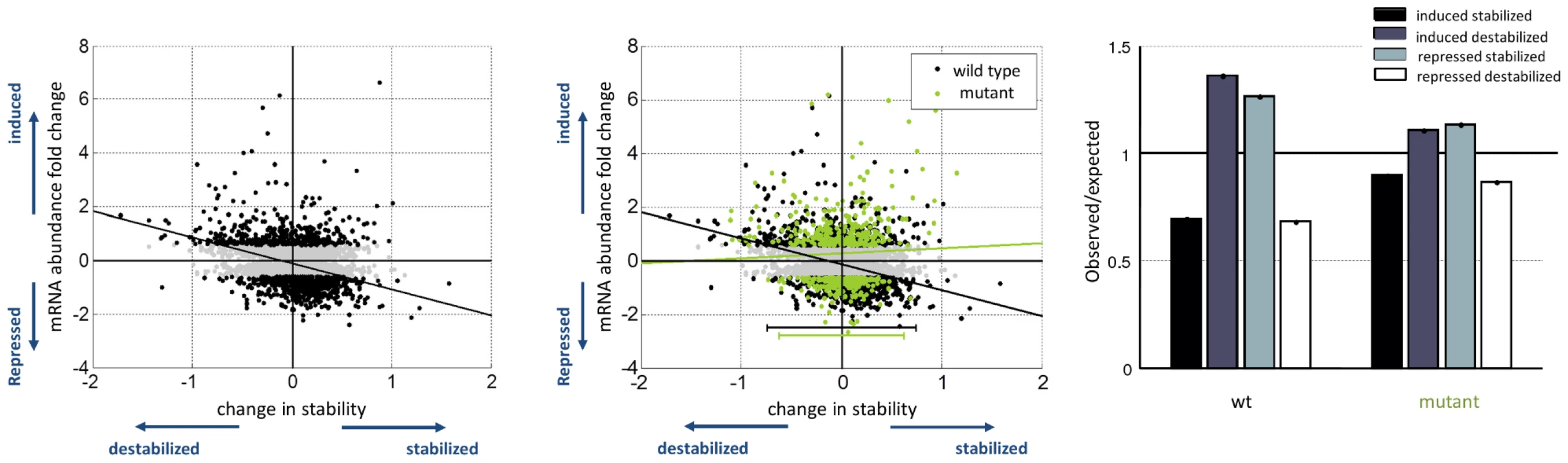 Reduced coupling in Rpb6 mutant strain.