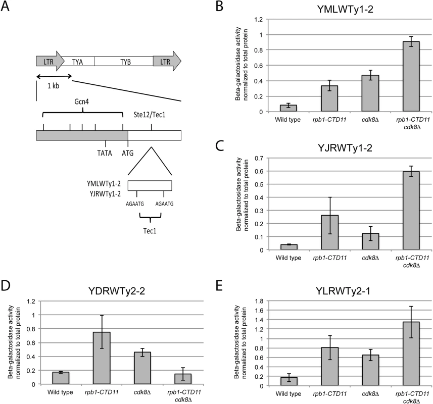 The increased retrotransposon mRNA levels in the <i>rpb1-CTD11</i> and <i>cdk8Δ</i> mutant were in part due to alterations to promoter activity.