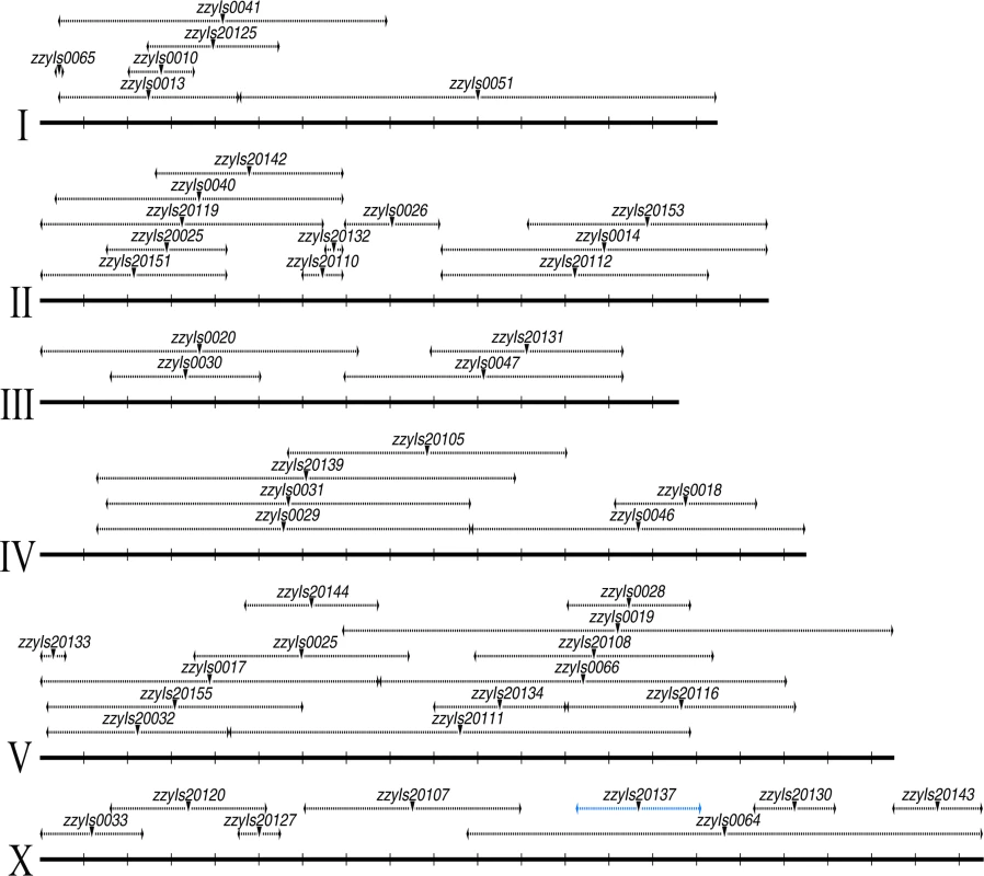 A <i>C. briggsae</i> physical map consisting of a subset of 48 chromosomally integrated transgenic GFP markers.