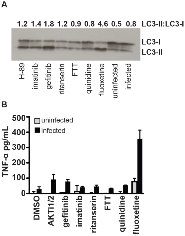 Specific compounds enhance autophagy or inflammatory cytokine release.