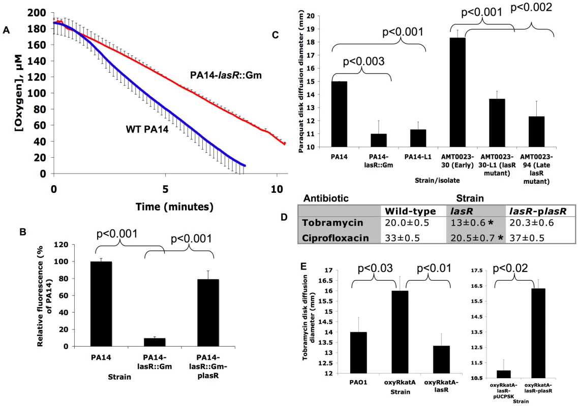 <i>lasR</i> mutant <i>P. aeruginosa</i> strains and isolates exhibit lower rates of oxygen utilization and resistance to paraquat, tobramycin and ciprofloxacin.
